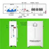 BASENGREEN Batterie LiFePO4 16 kWh pour Stockage d'Énergie Solaire Domestique, Pack Lithium ESS 16 kWh 32 kWh 51.2V 314Ah 628Ah, Stock UE