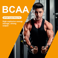 Poudre d'électrolytes BCAA à rapport 4:1:1, 30 portions, ingrédients naturels de haute qualité, vente directe, produit phare pour l'exportation transfrontalière