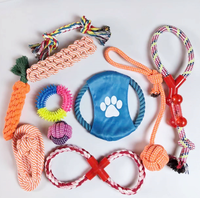 Lot de 9 jouets de luxe pour chiots, jouets à mâcher pour la dentition des petits chiens, balles en peluche mignonnes qui couinent, jouets interactifs en corde, ensemble de jeu durable pour l'entraînement dentaire