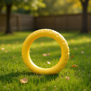 Aro de Entrenamiento para Perros Aro Tpr de 25 cm para Ejercicio y Juego de Mascotas - Product Image 3