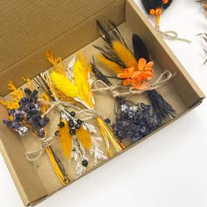 2024 Meilleur vendeur échantillon gratuit Nature herbe de <span class=keywords><strong>pampa</strong></span> <span class=keywords><strong>Vase</strong></span> bouquets de fleurs sèches petite herbe de <span class=keywords><strong>pampa</strong></span> blanche séchée - Product Image 4