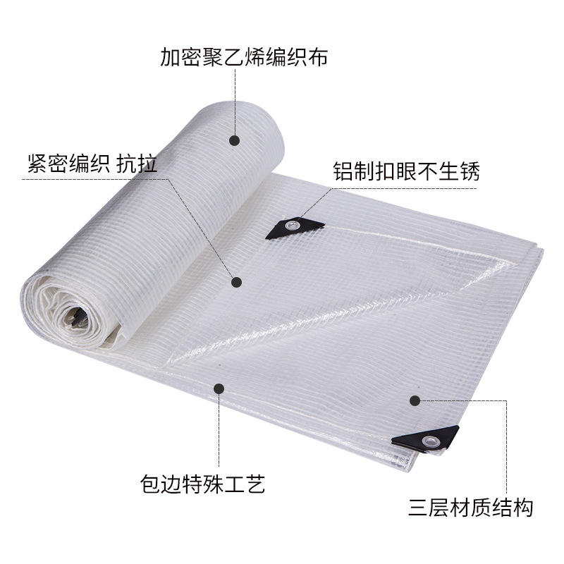 Transparente a cuadros