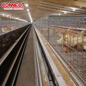 Poulet Offre Spéciale ferme équipement couche batterie oeufs <span class=keywords><strong>poules</strong></span> pondeuses cage à vendre multifonctionnel fourni poulet vivant - Product Image 4