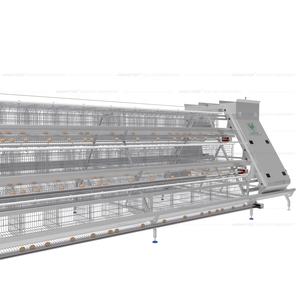 Jaulas Automáticas Tipo A <span class=keywords><strong>para</strong></span> Gallinas Ponedoras, Equipo de Granja a Precio de Fábrica, <span class=keywords><strong>en</strong></span> <span class=keywords><strong>Venta</strong></span> - Product Image 4