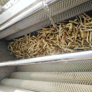 Laveuse-éplucheuse industrielle multifonction à rouleaux pour pommes de terre, carottes, gingembre et légumes racines - Product Image 5