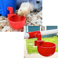 YYC Usine Approvisionnement Direct Volaille Caille Pigeon Abreuvoir Automatique Abreuvoir Poulet Buveur Tasse