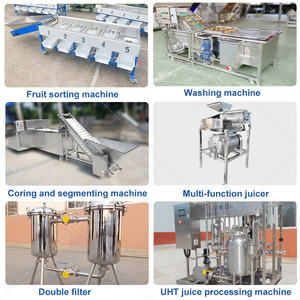 Línea de Producción Automática de Concentrado de Jugo de Cítricos y Limón OCEAN Fruit Process, Precio de la Máquina - Product Image 3