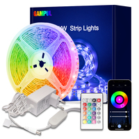 Haute qualité 5 mètres 24 clés contrôleur sans fil LED rvb bande lumière vert couleur changeante Flexible IP65 étanche 5050SMD App TV