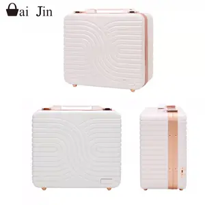 mini aluminum hard shell cosmetic case beauty luggage lash travel makeup bags case with mirror