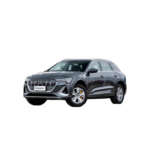 SUV <span class=keywords><strong>E</strong></span>-<span class=keywords><strong>tron</strong></span> de Lujo Totalmente Mantenido con Rieles de Techo de Fábrica, Suspensión Neumática y Techo Panorámico, Entrega a Todos los Puertos Africanos - Product Image 1