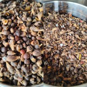 Presse a huile <span class=keywords><strong>de</strong></span> palmiste machines <span class=keywords><strong>de</strong></span> raffinage d'huile <span class=keywords><strong>de</strong></span> palmiste broyeur <span class=keywords><strong>de</strong></span> noix <span class=keywords><strong>de</strong></span> <span class=keywords><strong>palmier</strong></span> - Product Image 2