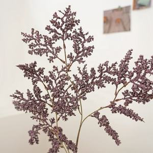 Planta de decoración de plantas para amantes de la nieve - Product Image 1