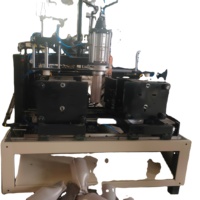 Machine de soufflage de bouteilles d'eau pour animaux de compagnie Machine de soufflage de bouteilles à deux stations de 2 cavités Machine de soufflage automatique de bouteilles d'eau pour bocaux