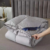 Couette d'hiver épaisse de 8 kg en alternative au duvet, qualité hôtelière, en soie-coton, pour la Chine, livraison directe, idéale pour les maisons d'hôtes printemps-automne