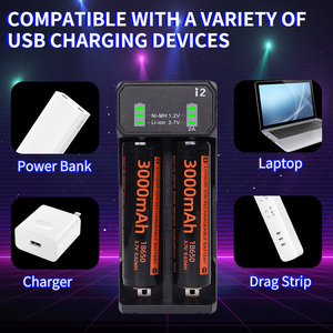 デュアルスロットUSB-C急速充電LEDディスプレイバッテリー充電器<span class=keywords><strong>1.2V</strong></span>カメラ用電源DCポートテーブル4バッテリー充電器US AA - Product Image 2