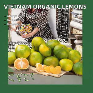 Shandong มะนาวมะนาวสดไร้เมล็ดผลไม้ส้มผลไม้อายุ60วันเพื่อการเกษตร - Product Image 6