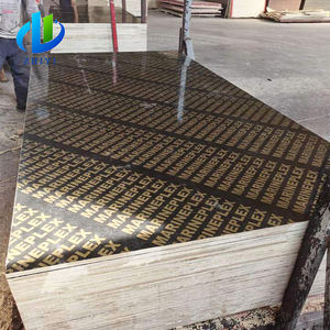 Hoja de madera contrachapada 18mm Forma de aleta laminada 20mm Madera contrachapada Marina Bp Film Faced Precio en Guyana México - Product Image 5