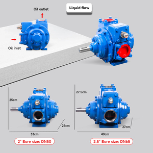 Zsyb Series Self-Priming Rotary Vane Pumps High Adjustable Safety Valves Single-Phase Motor 2" 2.5" 3" Oil Transfer ZS-E03 High - Product Image 3