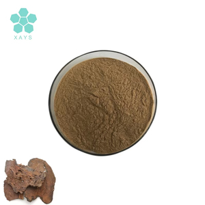 ピゲウム・アフリカヌム樹皮エキス ピゲウム・アフリカヌムエキス粉末 - Product Image 2