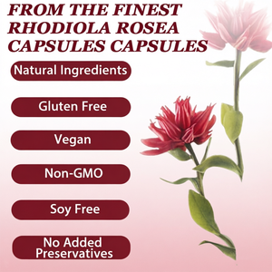 Extrait de plante naturelle OEM Rhodiola Rosea pour soutenir l'énergie, capsules végétales relaxantes, complément à base de racine de Rhodiola Rosea - Product Image 2
