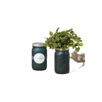 Système hydroponique passif de style campagnard vintage Mason Jar Herb Kit de jardin d'intérieur Pots de sol pour centre commercial
