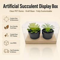 Boîte en PET transparente de haute qualité, 100 % transparente, pour l'affichage des plantes succulentes, emballage avec insert en papier ondulé