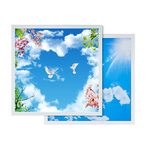 Jiaxing fábrica barato 600*600 603*603 2x2ft Sky Panel de luz de <span class=keywords><strong>techo</strong></span> Panel de luz nube cielo Led <span class=keywords><strong>tragaluz</strong></span> Panel de <span class=keywords><strong>techo</strong></span> - Product Image 1