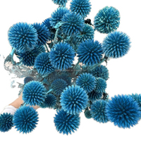 Echinops Blue Planet Globe Thistle, fleurs séchées naturelles, longue durée, pour bouquet de mariée et artisanat floral