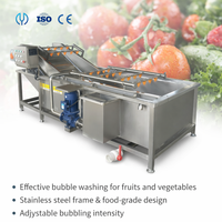Yido industriële bladgroente-bubbelwasmachine met ozonbellen, fruit- en groentereinigingsmachine met hoge druk en transportband