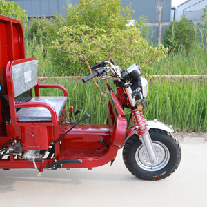 Sturdy 200cc Tricycle Motorcycle with <b>Gasoline</b> Power Manufacturer Direct for Efficient Logistics - Product Image 3