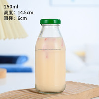 Bouteilles en verre de gros Bouteilles d'eau vintage étanches pour jus de fruits 80ml Bouteille de café infusé à froid Pot de gingembre pour potion