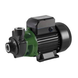 Pompe à eau électrique de surface <span class=keywords><strong>Qb</strong></span> 60 1 pouce pour usage domestique, agricole et d'irrigation, avec fonction de surpression et aspiration - Product Image 2