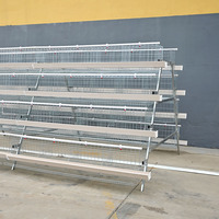 Nouvelle cage à poules pondeuses de type A pour élevage en batterie, en acier galvanisé, capacité 96-160, longue durée de vie