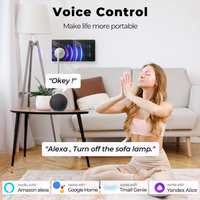 Prise intelligente Tuya Matter WiFi murale avec télécommande et prise universelle intelligente 13A