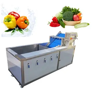 China factory seller dry fruit washing machine vegetable bubble washer suppliers