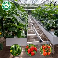 Serre agricole commerciale multi-chapelles en verre avec système hydroponique pour la culture de légumes, durée de vie de 20 à 30 ans