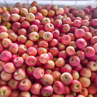 Verse Fuji Appels Premium Kwaliteit Zoet en Knapperig Rood Fruit voor Groothandel Bulk Export Vanuit Chinese Fabriek Directe Levering
