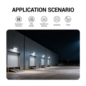 كشاف LED خارجي OUTLUX E019 بدرجة حماية <span class=keywords><strong>IP65</strong></span> وإضاءة عالية 6500K بقوة 10-200 واط للحدائق وإضاءة المناظر الطبيعية - Product Image 5