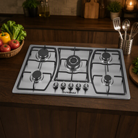 Fournisseur de cuisinières à gaz 5 brûleurs en acier inoxydable, plaque de cuisson de cuisine, prix d'usine, vente en gros