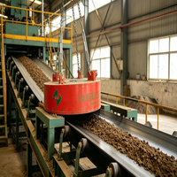 Hochmagnetischer Intensitätsscheiben-Elektromagnetischer Trockenseparator mit Tiefenpenetration und Selbstkühlung für Eisenfetzen