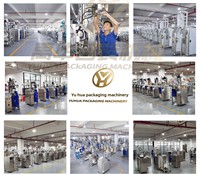 YH Automatische Zähl- und Kartoniermaschine für Beutel in Schachteln, 10 20 50 Stück Beutel/Schachteln/Sticks, Karton-Sortier- und Verpackungsmaschine