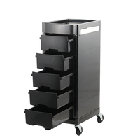 Chariot à outils roulant à 5 tiroirs en ABS et acier inoxydable, chariot de rangement utilitaire pour salon avec roulettes pivotantes