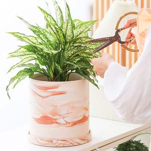 Vente en gros de plantes vertes succulentes pour <span class=keywords><strong>jardin</strong></span>, <span class=keywords><strong>vase</strong></span> frais pour la décoration de la maison, pots de fleurs nordiques émaillés colorés en céramique - Product Image 5