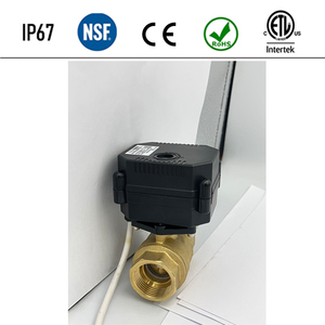 มอเตอร์บอล Flomarvel Fh-s Fh-mo 12v Ip67 พร้อมระบบควบคุมด้วยมือ 24v 220v วัสดุทองเหลือง Ss304 Upvc - Product Image 1