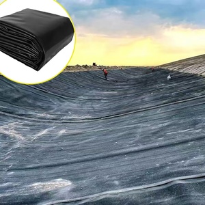 Revêtement de géomembrane HDPE texturé de conception industrielle, surface antidérapante pour couverture de décharge en pente, revêtement d'étang, approvisionnement direct en usine - Product Image 6