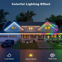 Vente en gros RGBW Gemstone IP65 WiFi Outdoor Custom Smart Lighting pour la décoration de vacances permanentes Lumières de Noël
