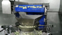 Factory Directly Provide Full Automatic Multihead Weigher Scale for Frozen Dumpling