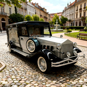 Fournisseur direct d'usine - Voiture funéraire électrique à 4 roues, style moderne classique, type limousine, pour transport de cercueil et services funéraires - Product Image 1