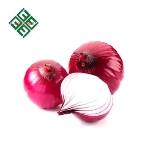Big Fresh Onion With Low Price Red Color Yellow Color