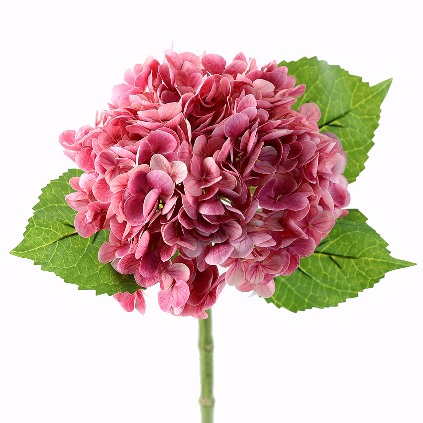 Rose rouge